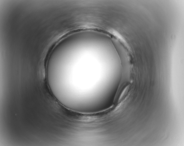 X0000088751269200706212108