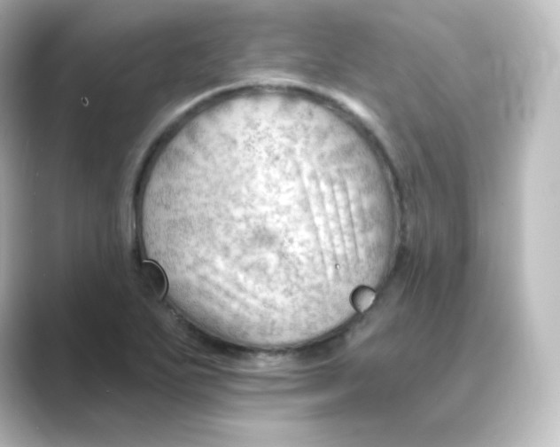 X0000088751271200706212108