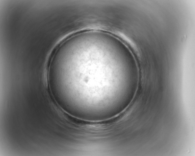 X0000088751272200706212108