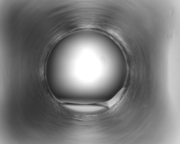 X0000088751273200706212108