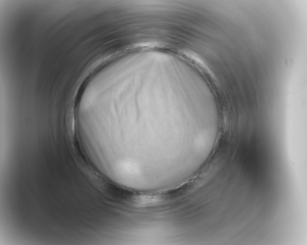 X0000088751274200706212108