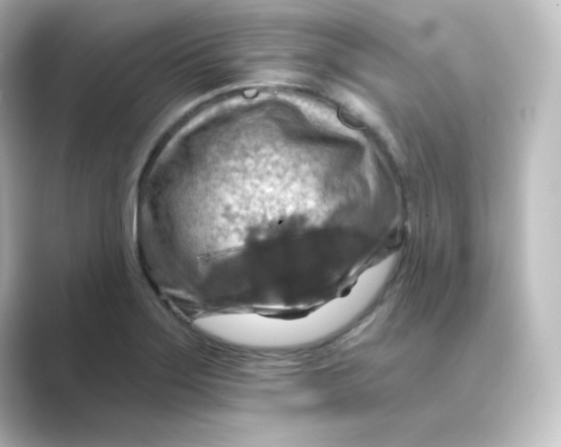 X0000088751275200706212108