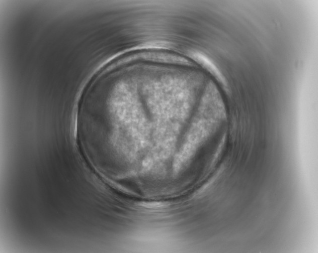 X0000088751276200706212108