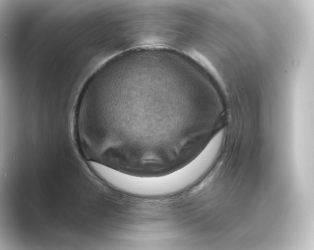 X0000088751277200706212108