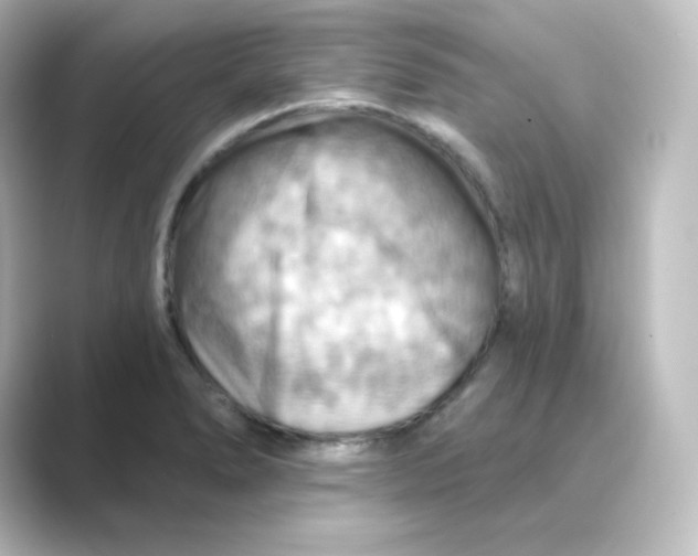 X0000088751278200706212108