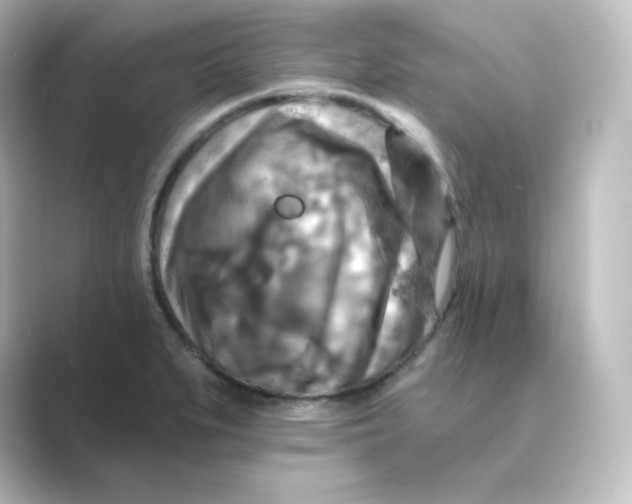 X0000088751279200706212108