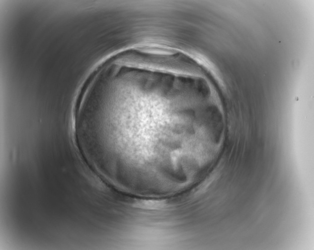 X0000088751280200706212108