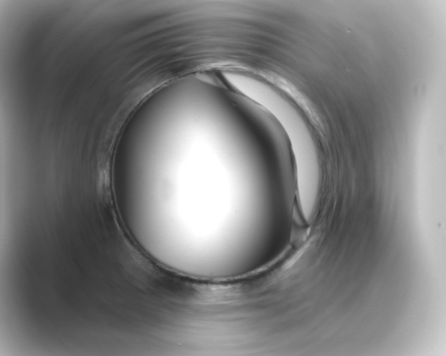 X0000088751281200706212108