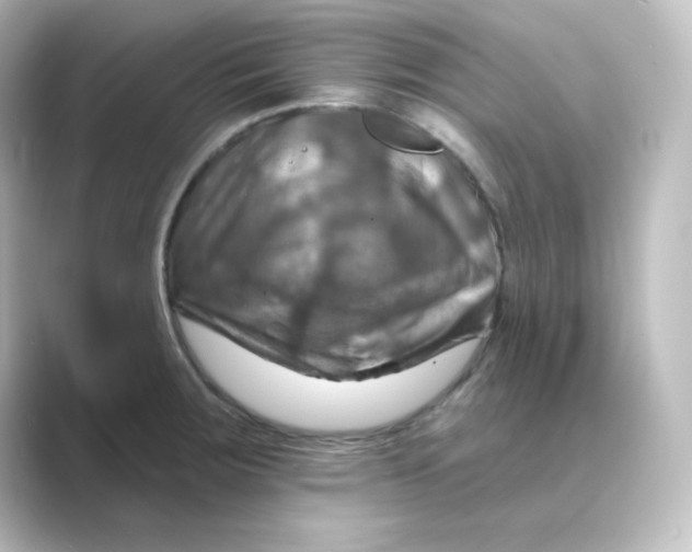 X0000088751283200706212108