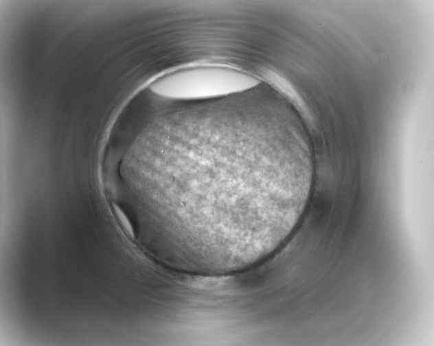 X0000088751284200706212108