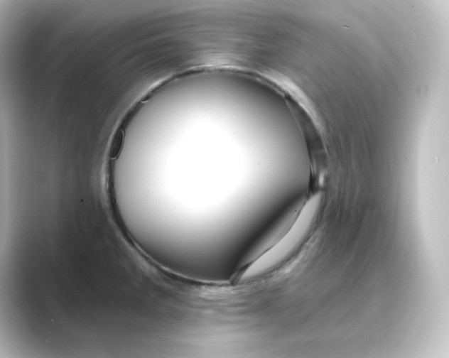 X0000088751285200706212108