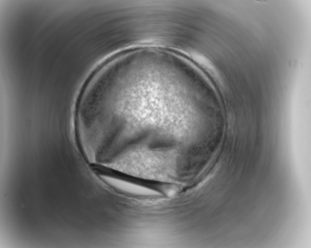 X0000088751288200706212108