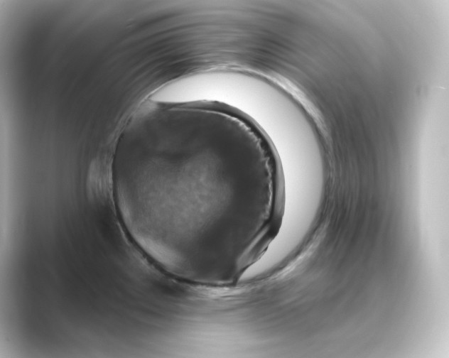 X0000088751289200706212108