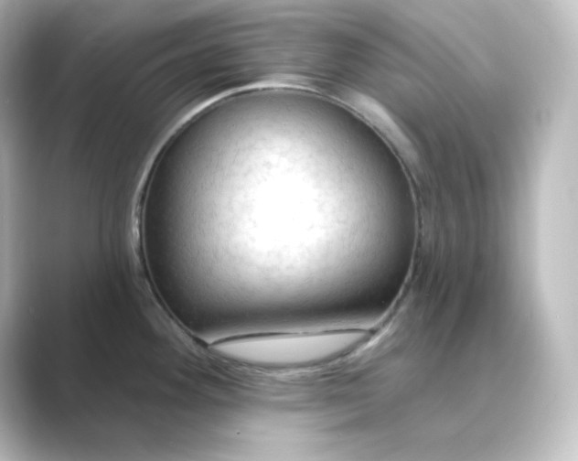 X0000088751292200706212108