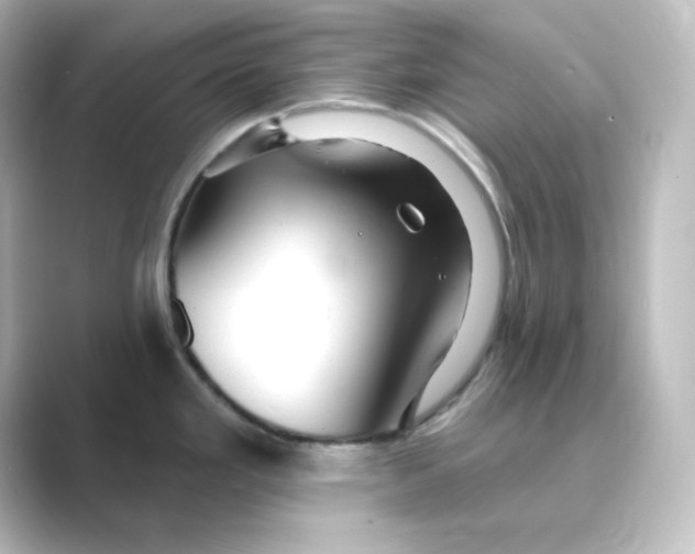 X0000088751293200706212108