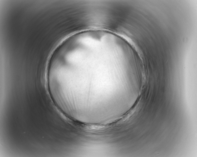 X0000088751294200706212108