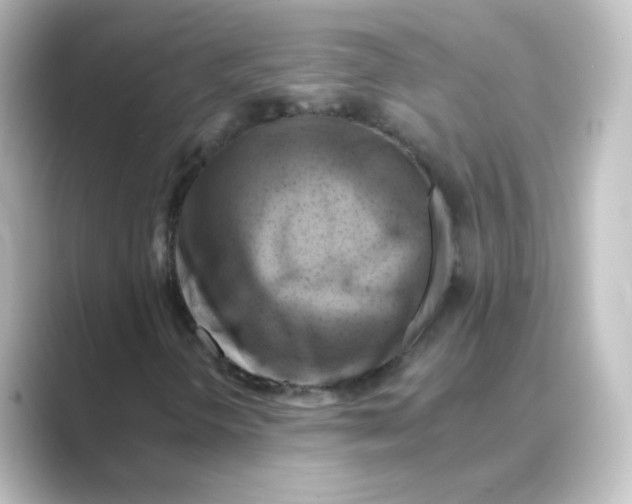 X0000088751298200706212107