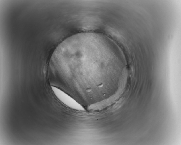 X0000088751300200706212107