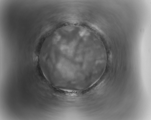 X0000088751302200706212107