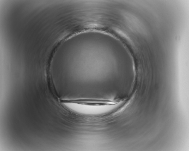 X0000088751305200706212107