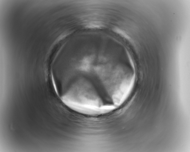 X0000088751306200706212107