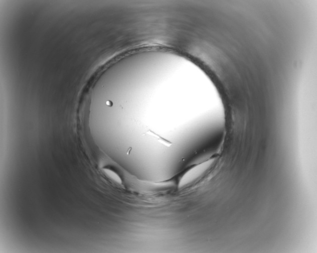 X0000088751308200706212107