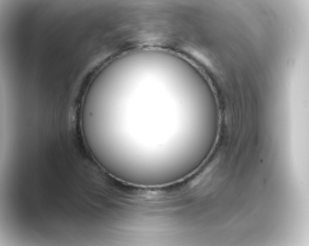 X0000088751309200706212107