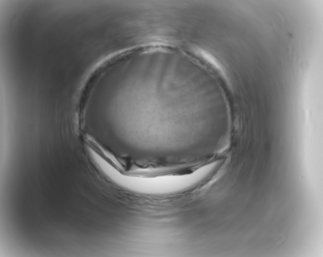 X0000088751310200706212107