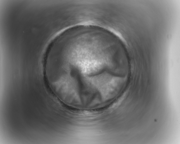 X0000088751311200706212107