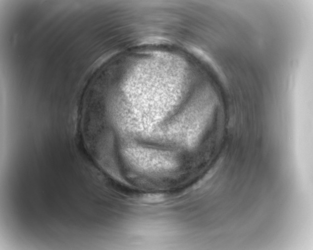 X0000088751313200706212107