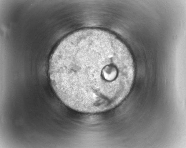 X0000088751314200706212107