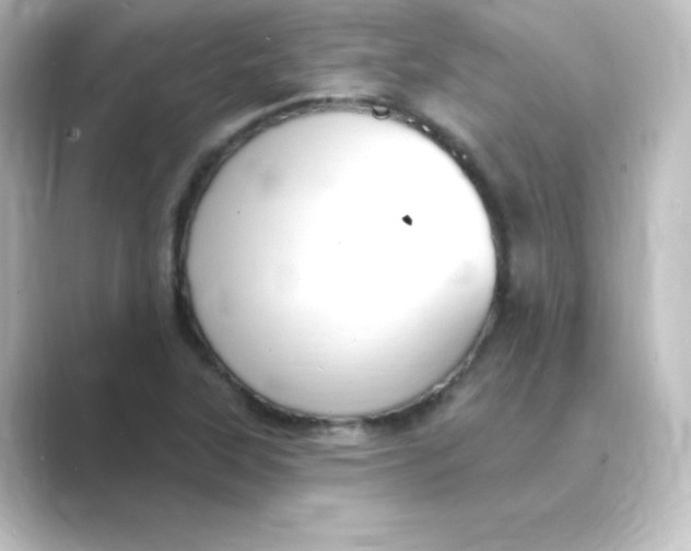 X0000088751315200706212107