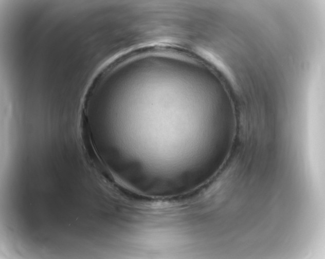 X0000088751316200706212107