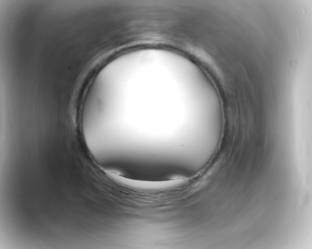 X0000088751318200706212107