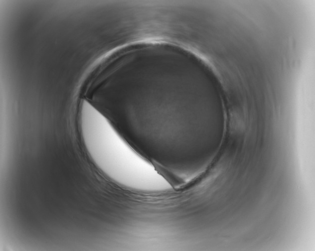 X0000088751319200706212108