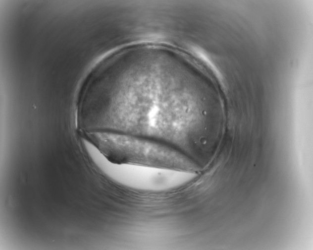 X0000088751320200706212108