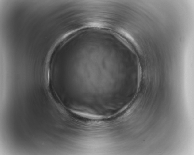 X0000088751323200706212108