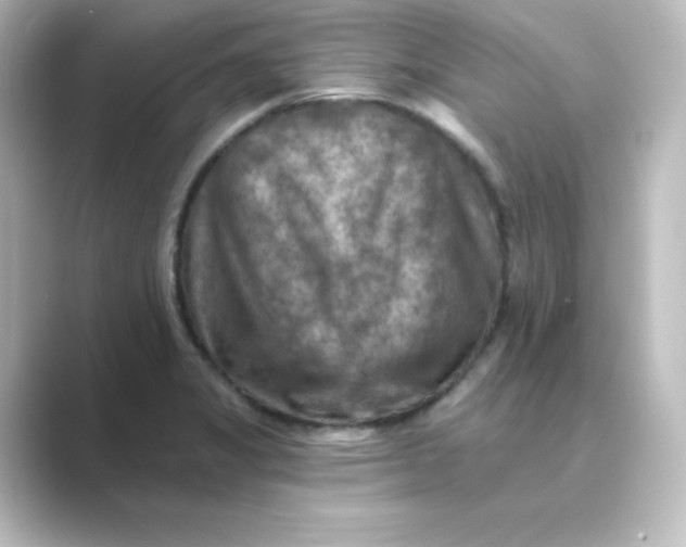 X0000088751325200706212108