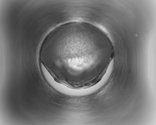 X0000088751326200706212108