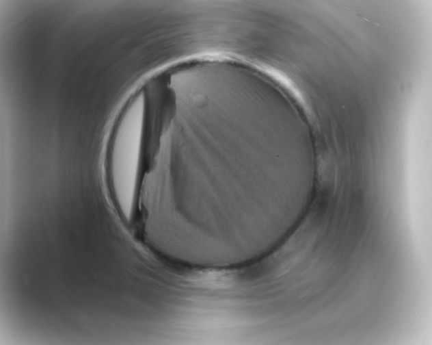 X0000088751327200706212108