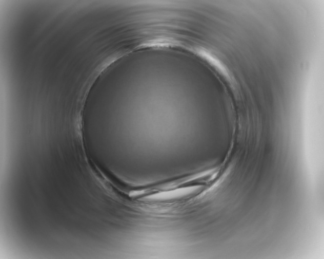 X0000088751329200706212108