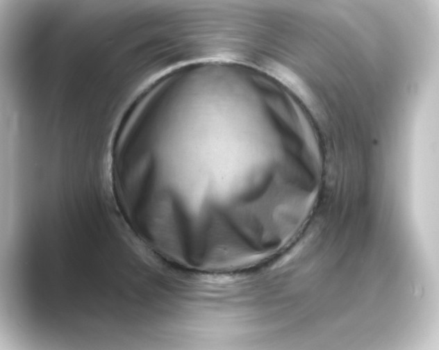 X0000088751332200706212108