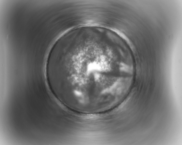 X0000088751333200706212108