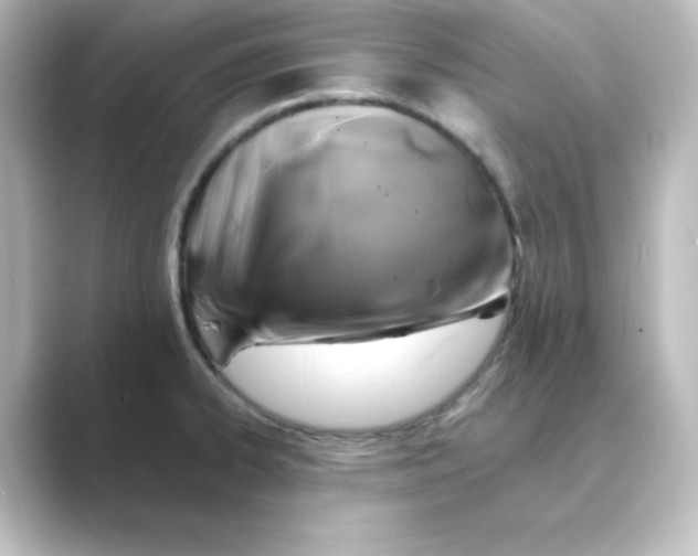 X0000088751334200706212108