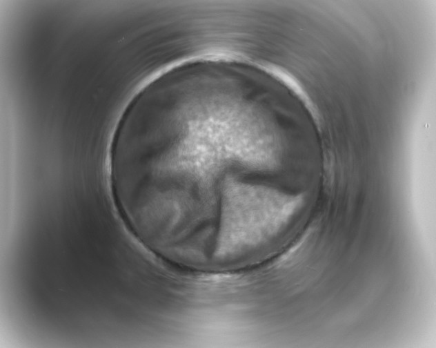 X0000088751335200706212108