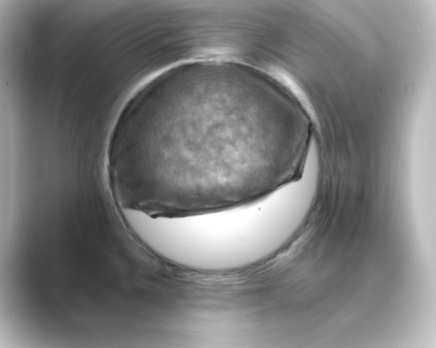 X0000088751336200706212108