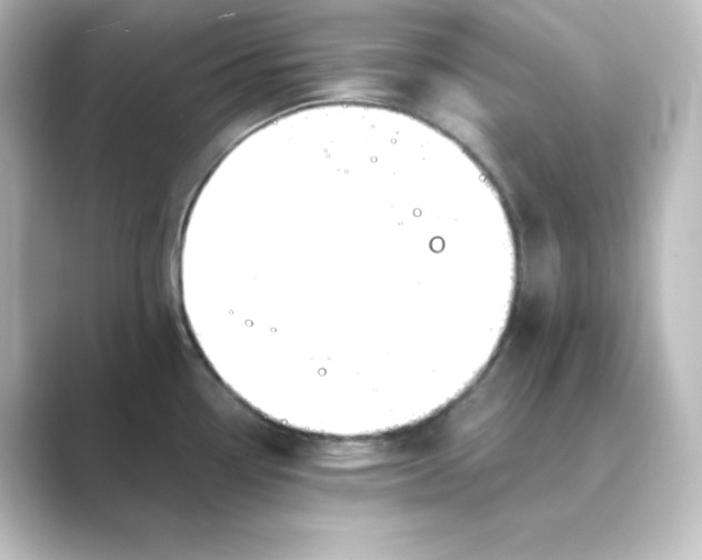 X0000088751338200706212108