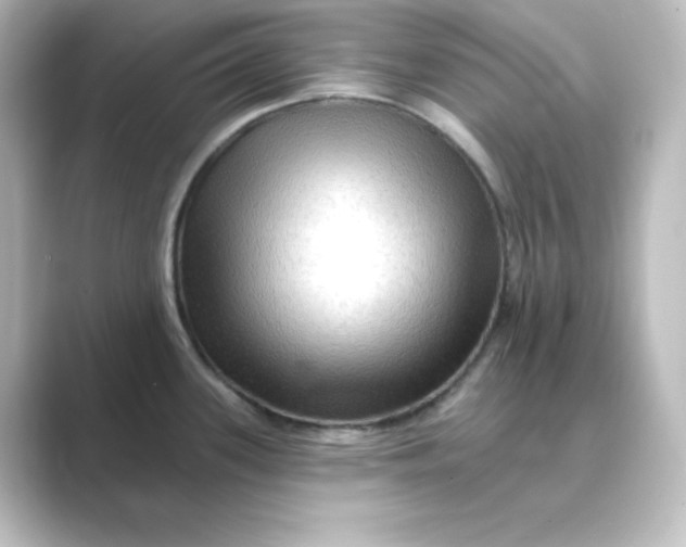 X0000088751339200706212108