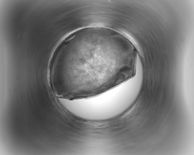 X0000088751340200706212108