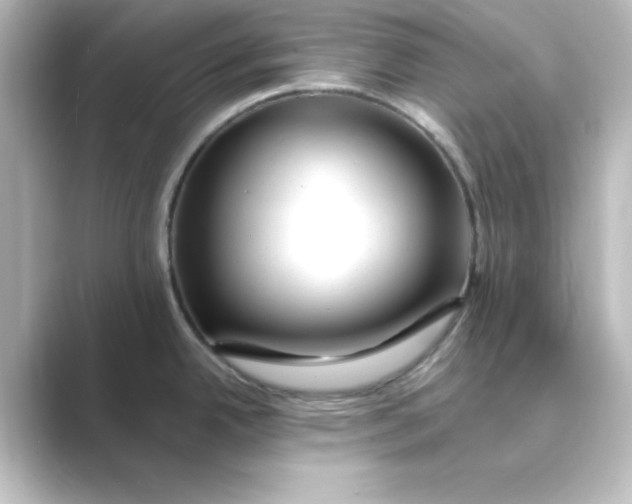 X0000088751342200706212108